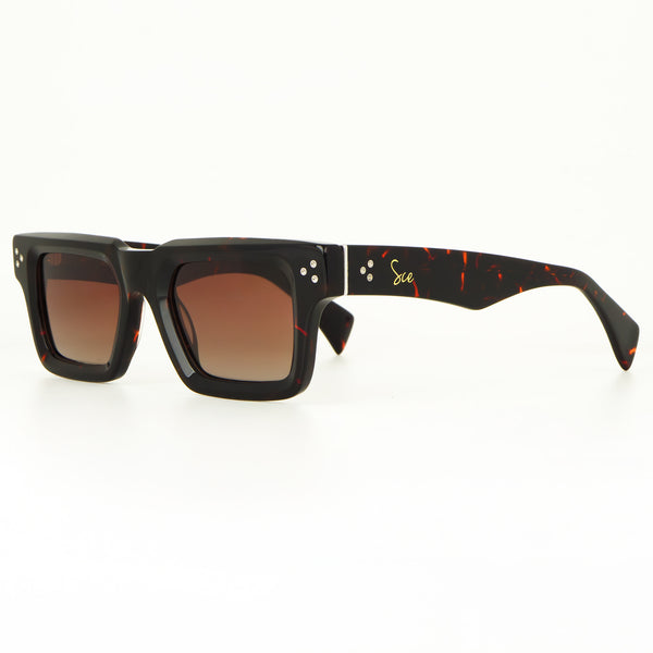 Elaris ebony acetate sunglasses with modern pointed temples and triple pin detailing